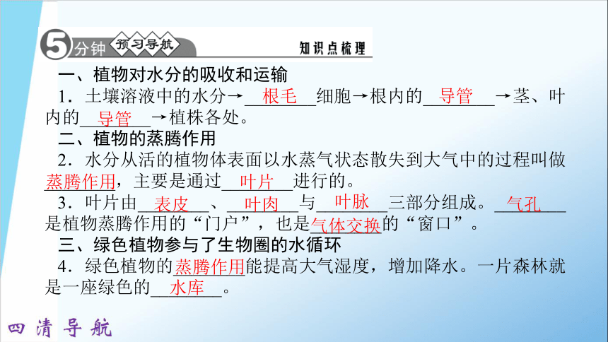 四清导航2017—2018学年生物（人教）七年级上册习题课件：3.3绿色植物与生物圈的水循环