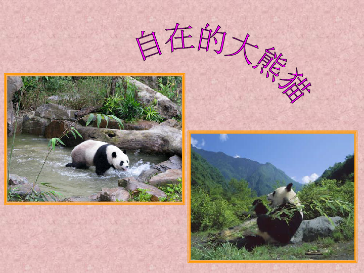 河大版信息技术六下第4课《大熊猫的舒适家园—插入图片》ppt课件（11张幻灯片）