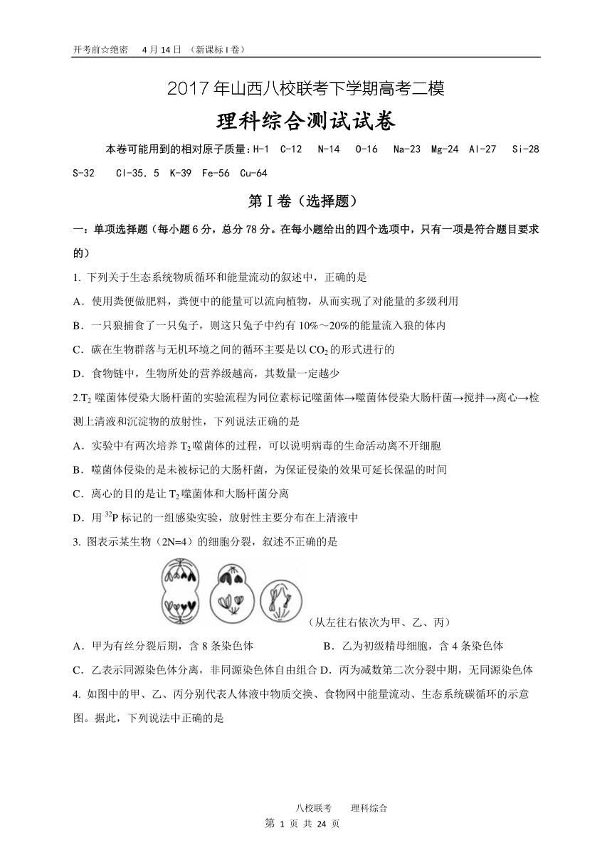 山西省八校联考高考二模理科综合试题卷理科综合试题 PDF版含答案