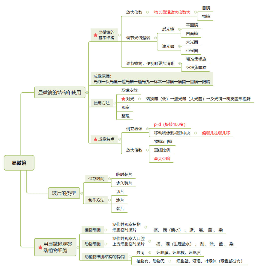 人教版七年级上册生物思维导图