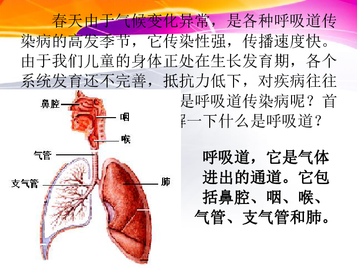 春季传染病预防班会课件（55张幻灯片）