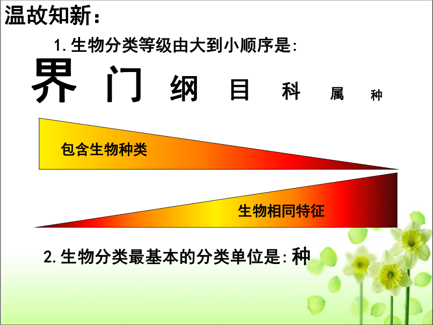 人教版八年级生物 上册 第六单元 第二章 认识生物的多样性 课件（共70张PPT）