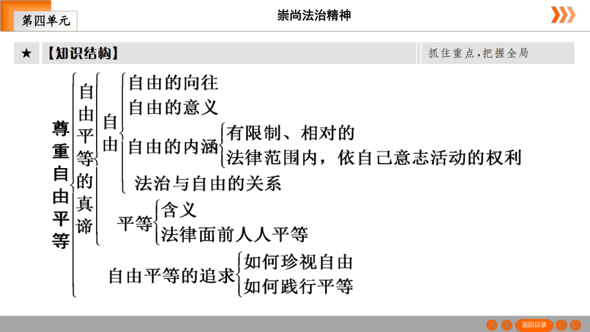 尊重自由平等思维导图图片