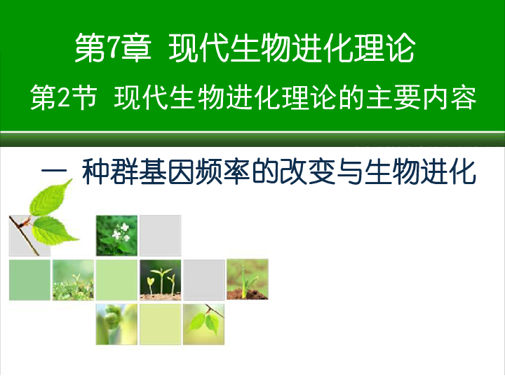 河南省郑州市第一中学人教版高中生物必修二课件：7．2．1种群基因频率的改变与生物进化（共49张PPT）
