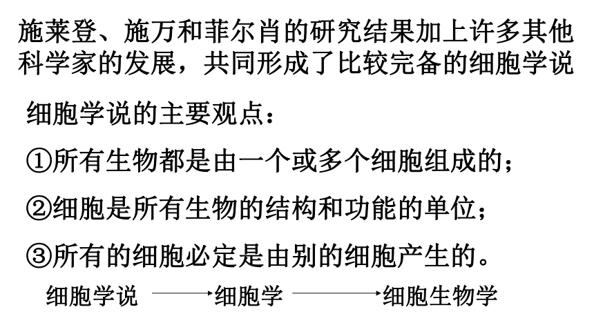 高中生物浙科版必修1 分子与细胞第二章 细胞的结构第一节细胞概述课件（19张）