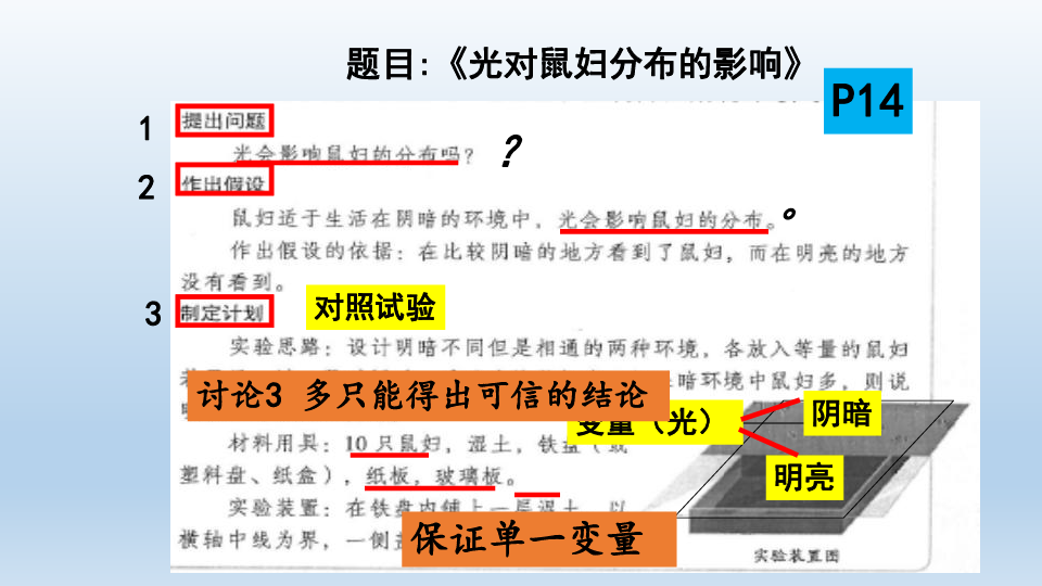 人教版生物中考专项训练：实验专项课件(共48张PPT)