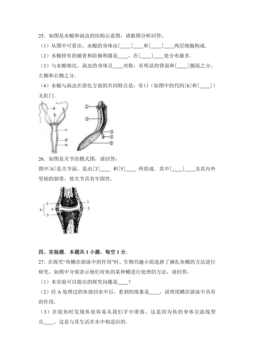 重庆市巫山县大昌中学2016-2017学年八年级（上）期中生物试卷（解析版）