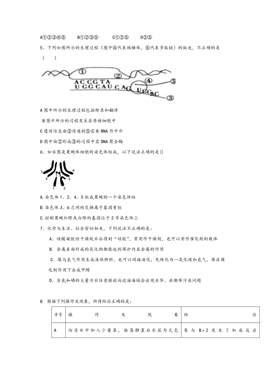 湖北枣阳七中2017届高三下学期寒假收心模拟考试理科综合  Word版含答案