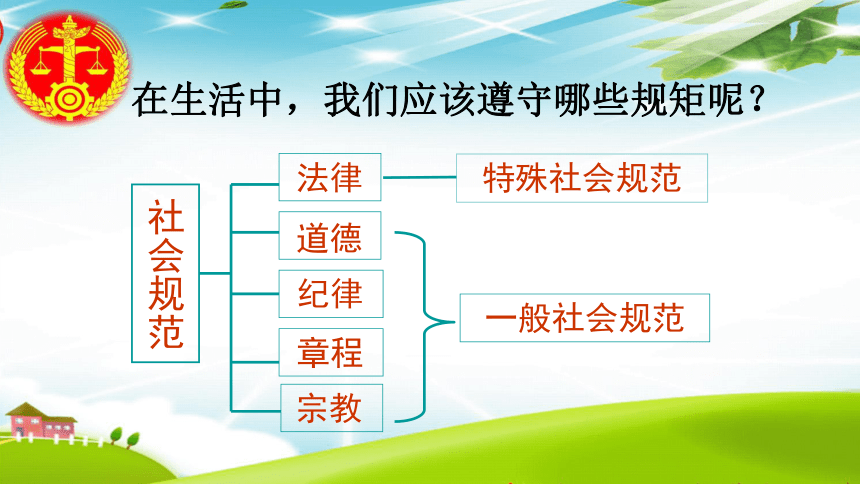 11.1感受法律-法律是一种特殊的行为规范 课件