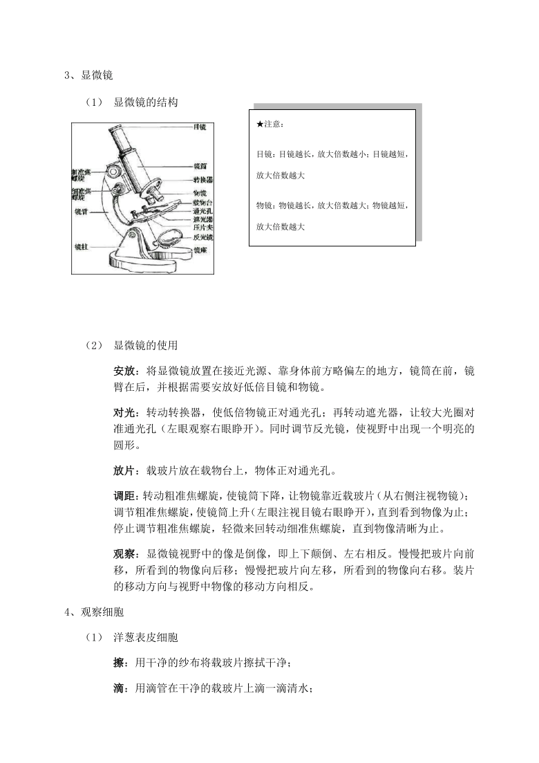 浙教版七年级科学上册 期末备考 专题三：生物与细胞 复习讲义