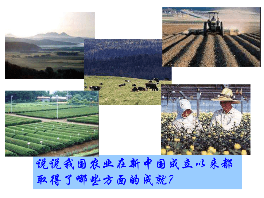 沪教版  七年级下册  第四单元 第十二课 在现代化进程中  走向现代化的农业 课件
