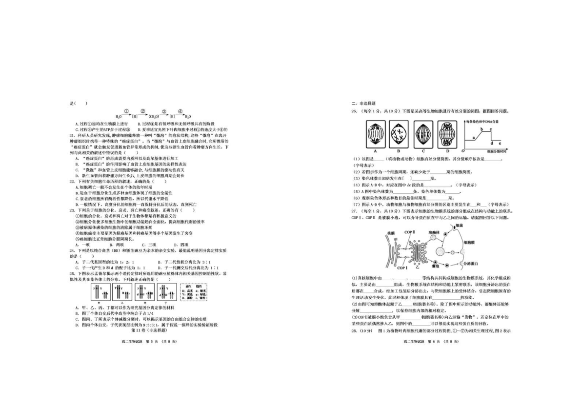 江西省新余市2019-2020学年高二上学期期末质量检测生物试题 PDF版含答案