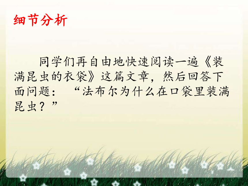 装满昆虫的口袋课件 (共24张PPT)