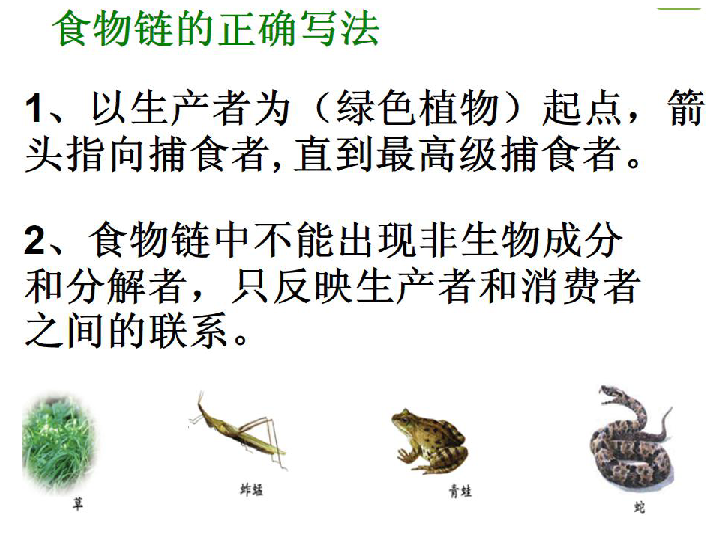 济南版八下生物  6.2.2食物链和食物网 课件（18张PPT）