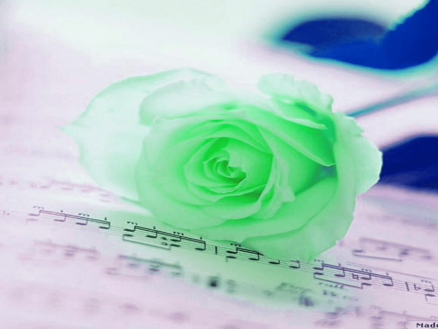 歌曲《野玫瑰》课件