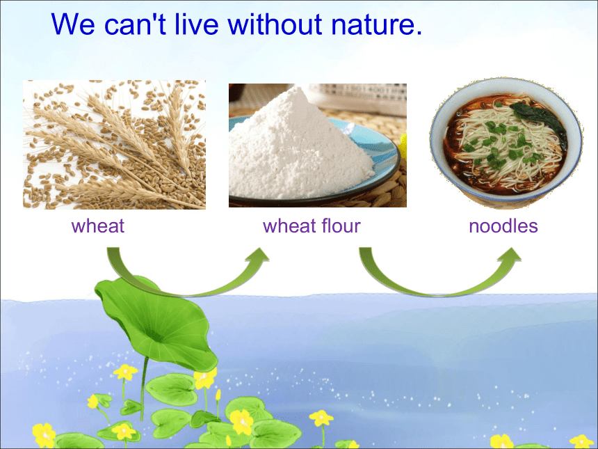Unit 7 What is nature? Lesson 25 课件