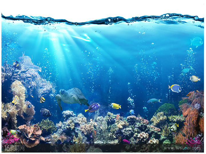 海底世界PPT背景图图片