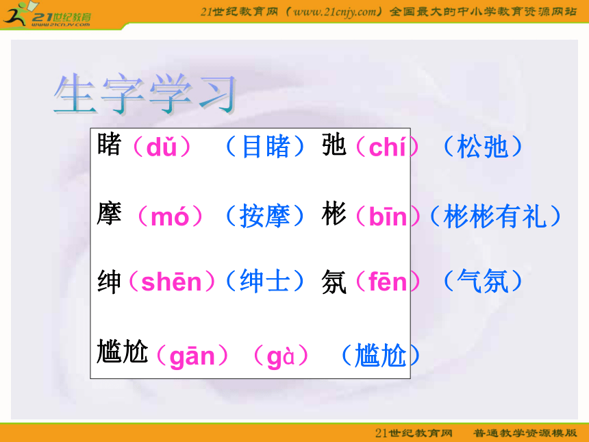 五年级语文上册课件 与象共舞 2（鲁教版）