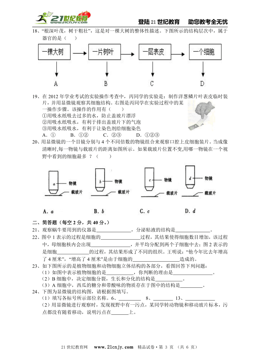 2013年科学中考第一轮复习专题训练7：观察多种多样的生物和细胞