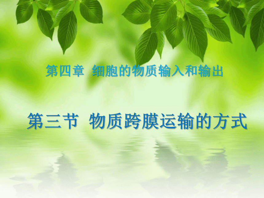 云南省绥江县第一中学人教版必修一生物课件：4.3物质跨膜运输的方式 （共24张PPT）