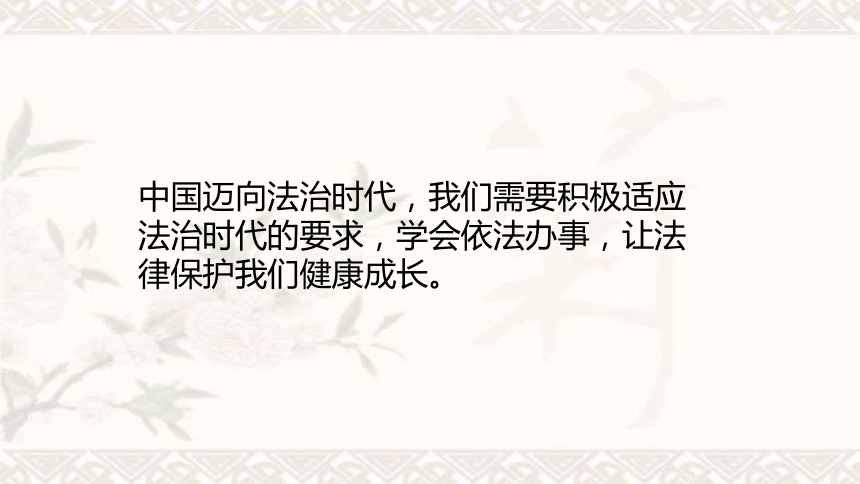 10.1 法律为我们护航 课件 (共31张PPT)