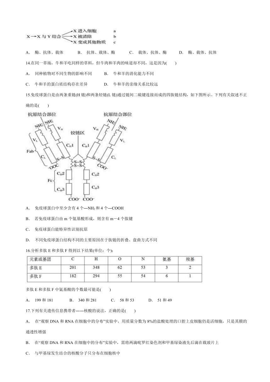 山东省滨州市邹平双语学校一二区2016-2017学年高二下学期期中考试生物试题