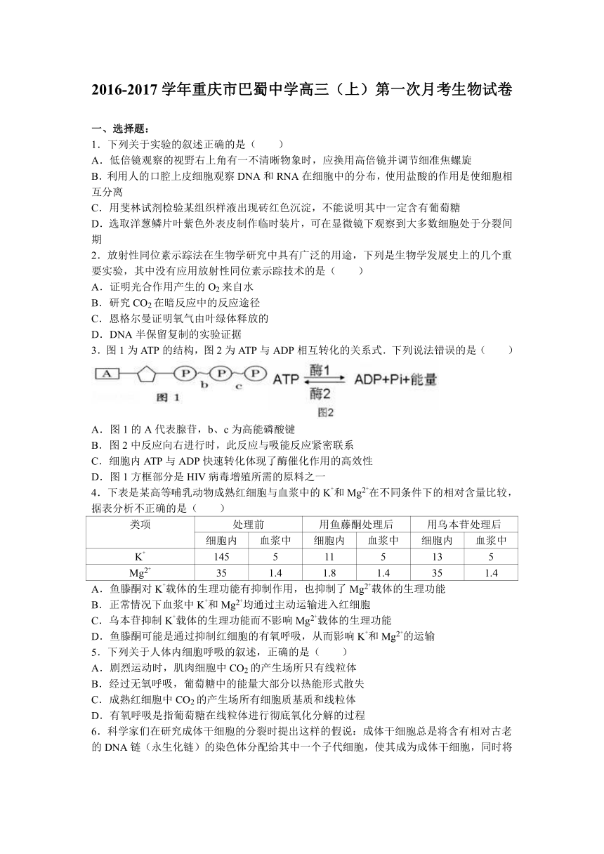 重庆市巴蜀中学2017届高三（上）第一次月考生物试卷（解析版）