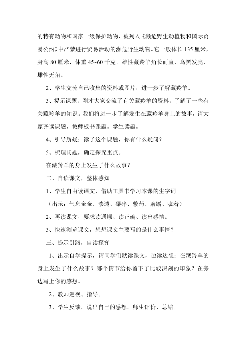 7 藏羚羊的故事 教学设计（共2课时）