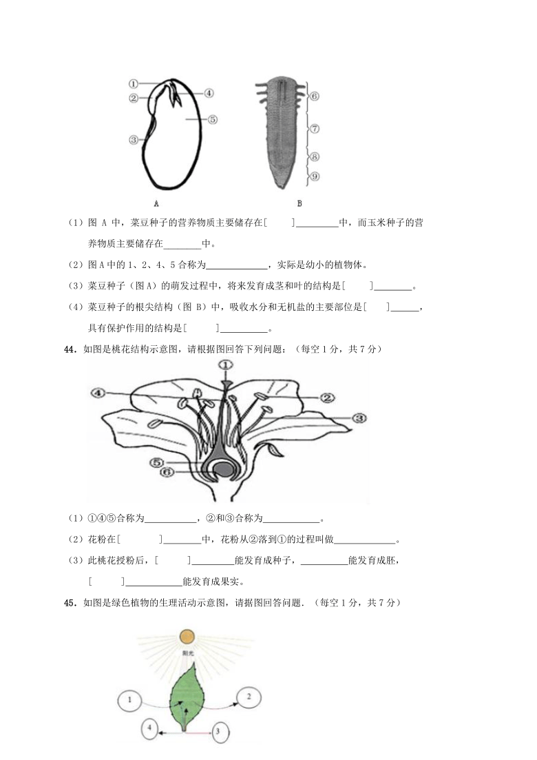 云南省红河州河口县2020-2021学年第一学期七年级生物期末检测试题（word版，含答案）