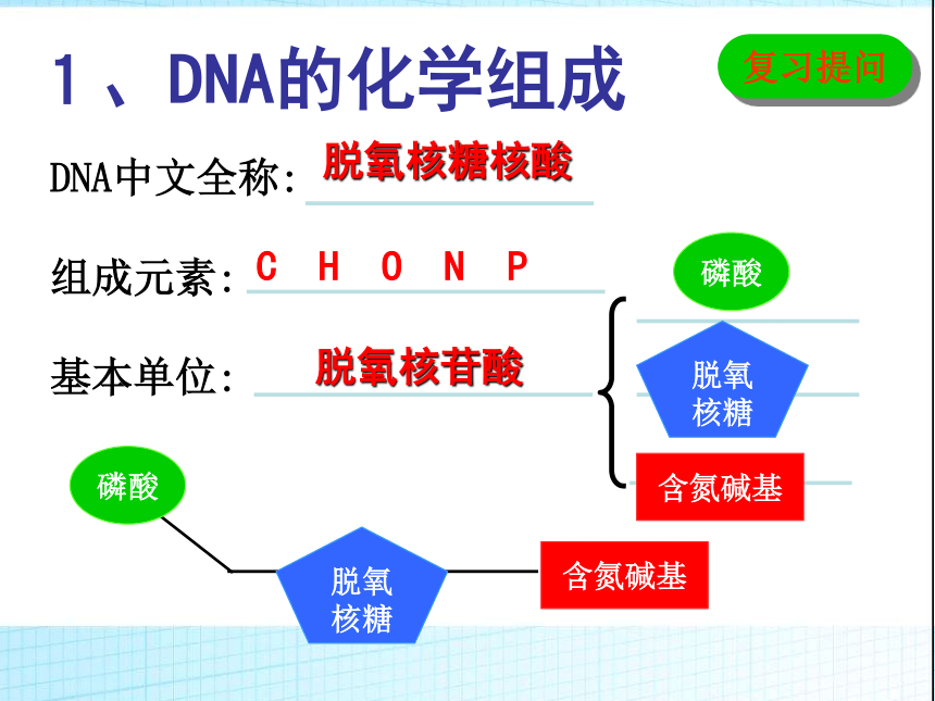 高中生物人教版必修二第三章第2节 DNA分子的结构   课件(19张PPT)