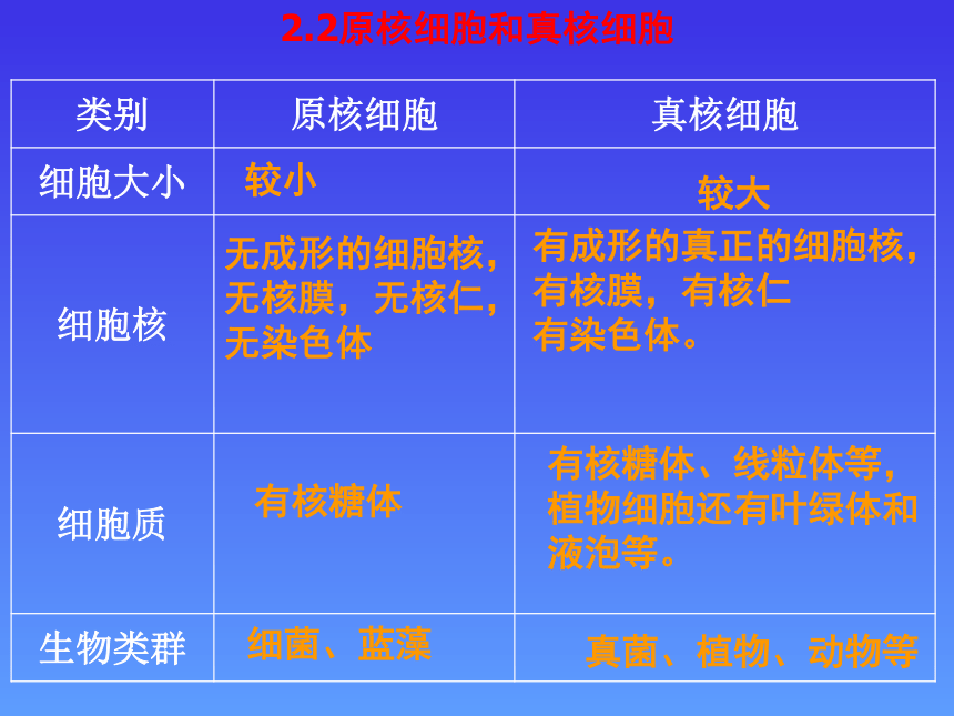 人教版高中生物必修一第一章第2节1.2 细胞的多样性与统一性-课件（39张）