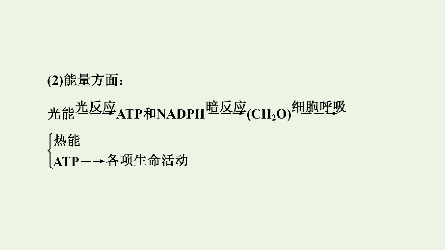 2019_2020年新教材高中生物第5章素能提升课光合作用与细胞呼吸的综合课件新人教版必修1