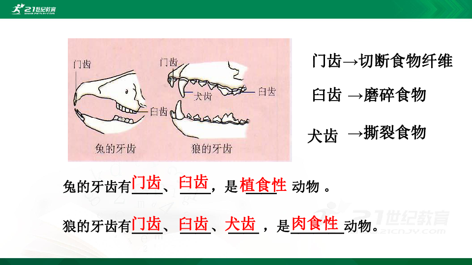 人教版中考生物知识点归纳  八年级上册   （共含 19张PPT）