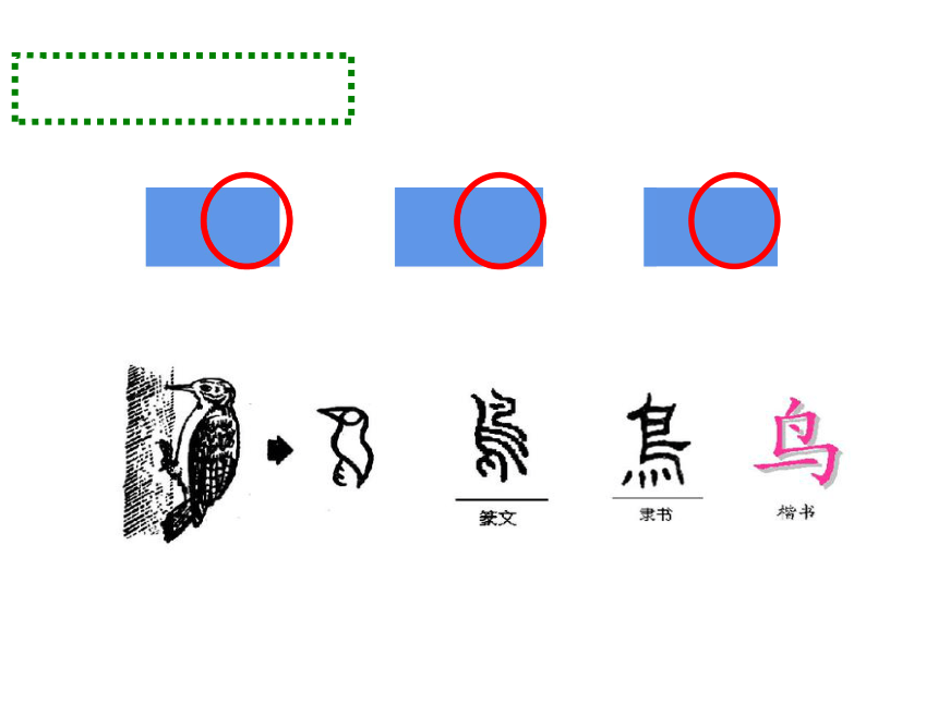识字3  “鸟与隹”——探寻汉字造字规律