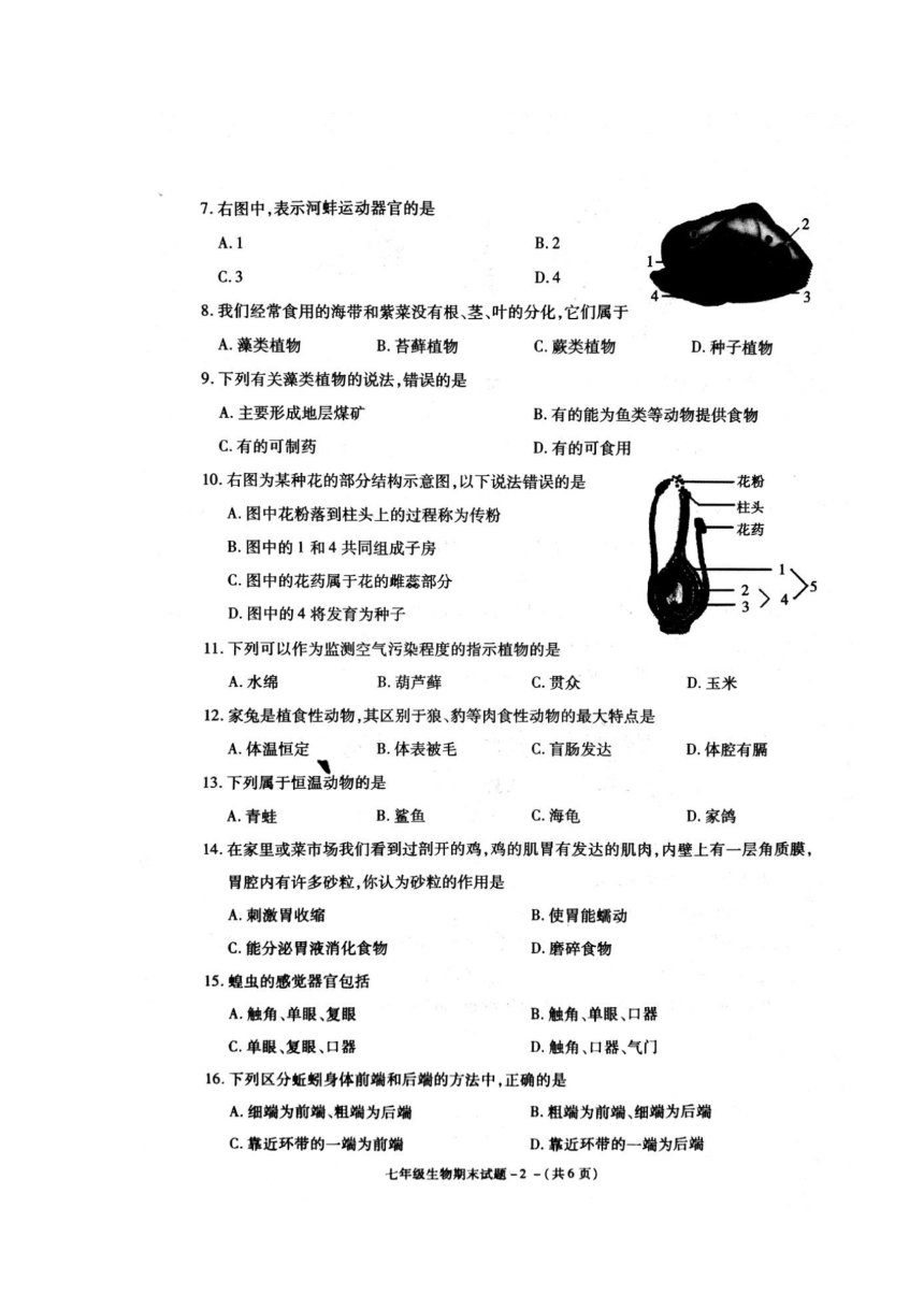陕西省渭南市富平县2017-2018学年七年级下学期期末考试生物试题（图片版，含答案）