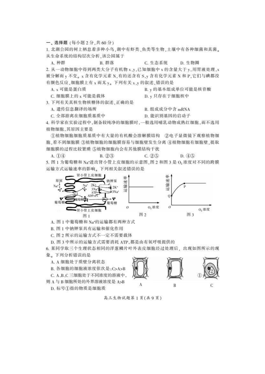 湖南省郴州市2018届高三第一次质量检测生物试卷（PDF版）