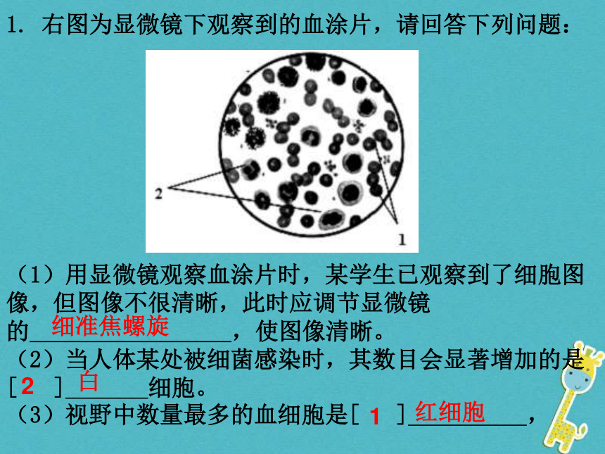 广东省中山市七年级生物下册第四章《人体内物质的运输》31张PPT