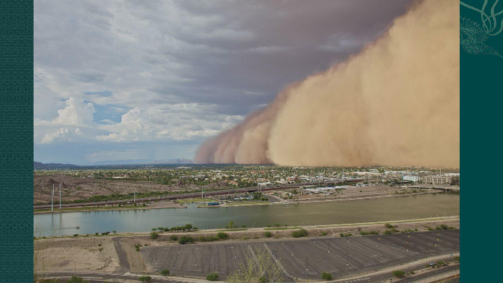 module 4 sandstorms in asia warm-up 课件(20张ppt)