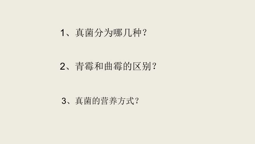 人教版生物八年级上册第五单元第四章第四节细菌和真菌在自然界中的作用课件1 （共33张PPT）