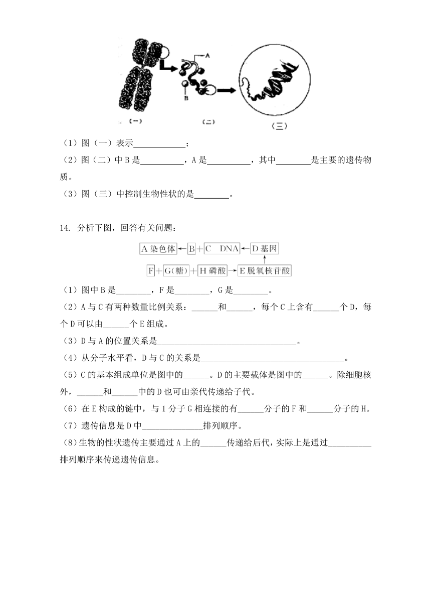 2016-2017学年高一生物人教版必修2（第16课时 基因是有遗传效应的DNA片段）Word版含解析