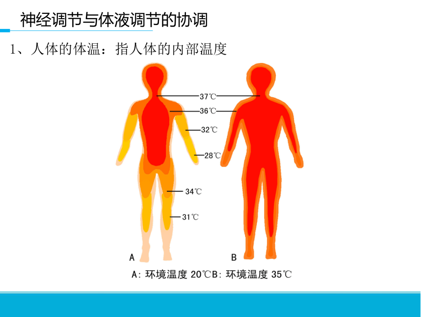 調節中樞 血糖調節中樞,體溫調節中樞,水鹽平衡調節中樞分泌激素 促