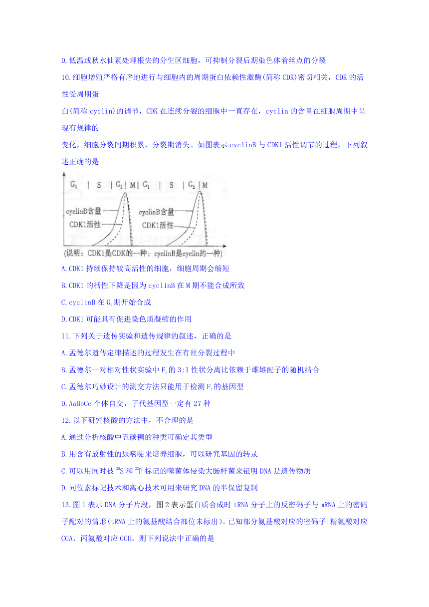 山西省晋城市2018年高三第一次模拟考试生物试题（无答案）