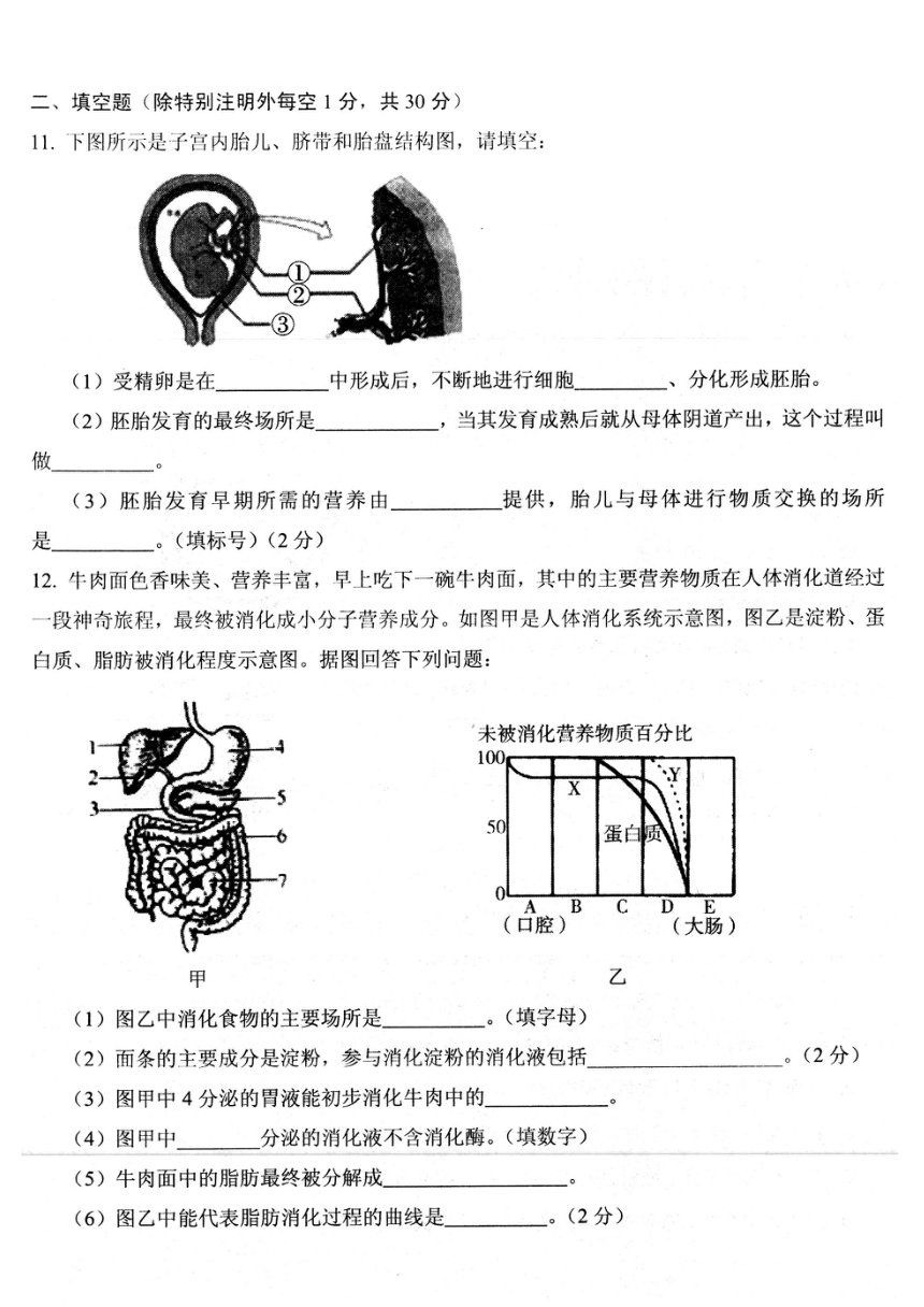 湖北省孝南區20212022學年七年級下學期期中生物試卷掃描版無答案