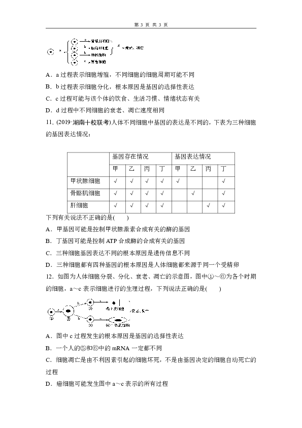 2020高考（人教版）生物精品习题：细胞的分化、衰老、凋亡和癌变含解析