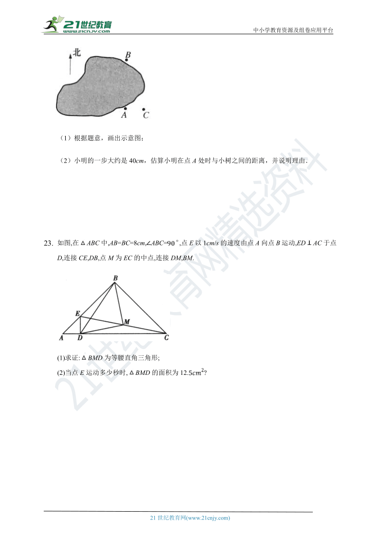 浙教版八年级上册数学期末测试拓展卷（含解析）