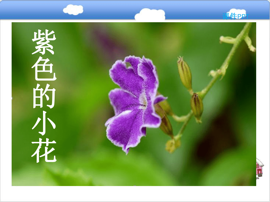 8.1 紫色的小花课件