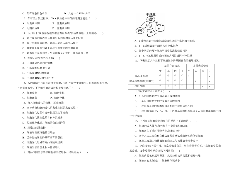 2018-2019学年 高中生物第六单元细胞的生命历程训练卷