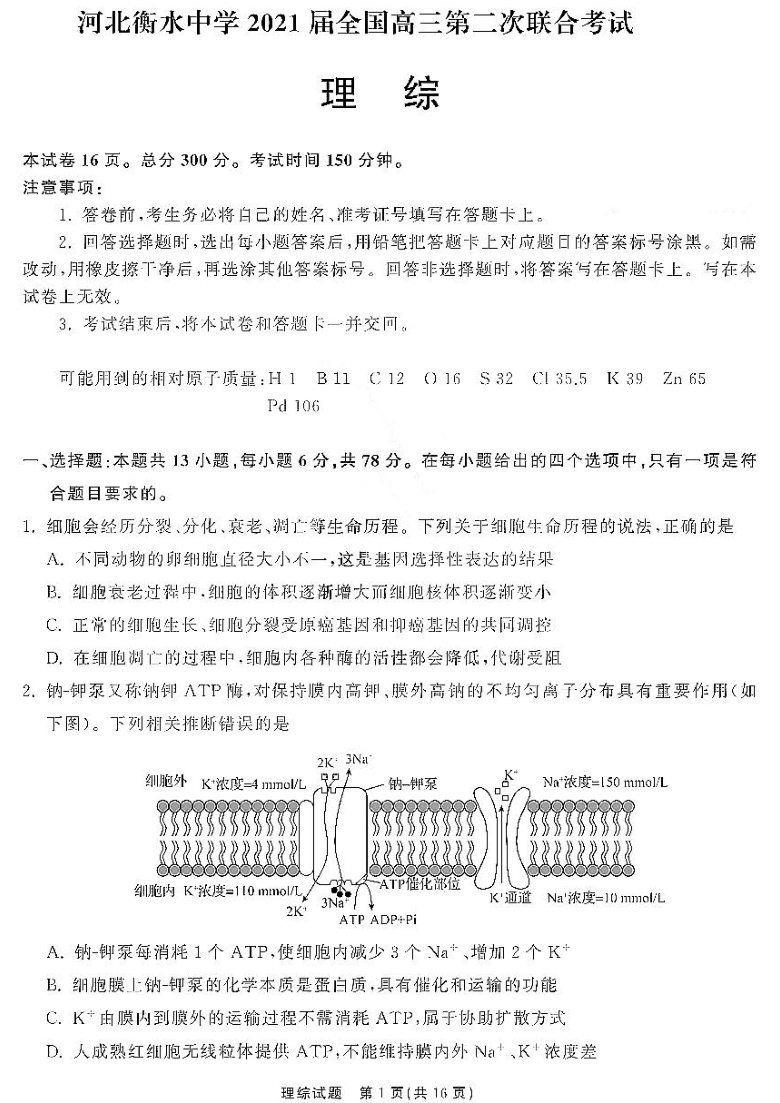 河北衡水中学2021届全国高三第二次联合试卷-理综试卷 PDF版含答案