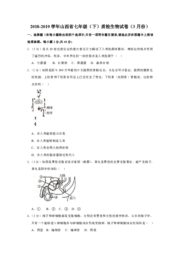 2018-2019学年山西省七年级（下）质检生物试卷（3月份）