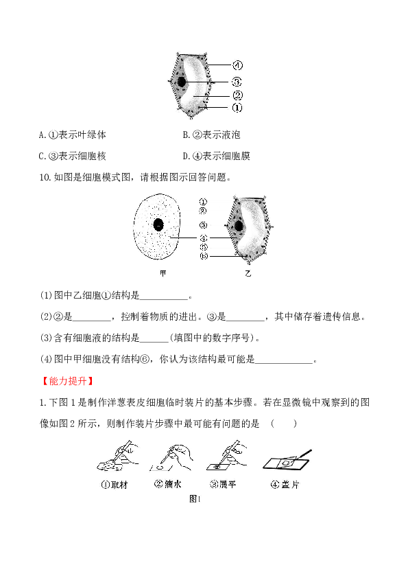 第3章  细胞 第1节 细胞的基本结构和功能（2）达标检测（解析版）